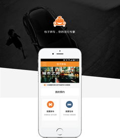 北京app开发定制,天品互联科技